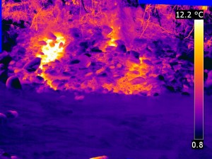 Immagine_InfrarossoTermico_SorgenteTermale in deposito alluvionale