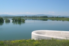 DSCN2972
